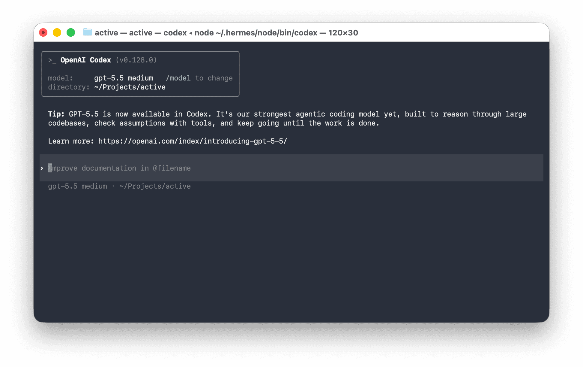 OpenAI Codex CLI running in Terminal, showing the version banner, the active model (gpt-5.5 medium), the project directory, a tip about GPT-5.5, and an empty input box at the bottom.